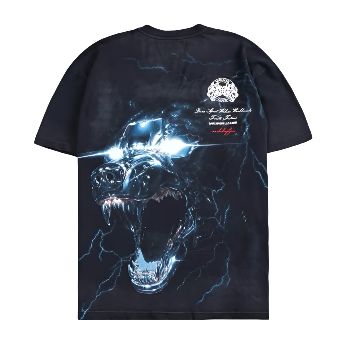 CAMISETA OVERSIZED - EYE OF THE BEAST