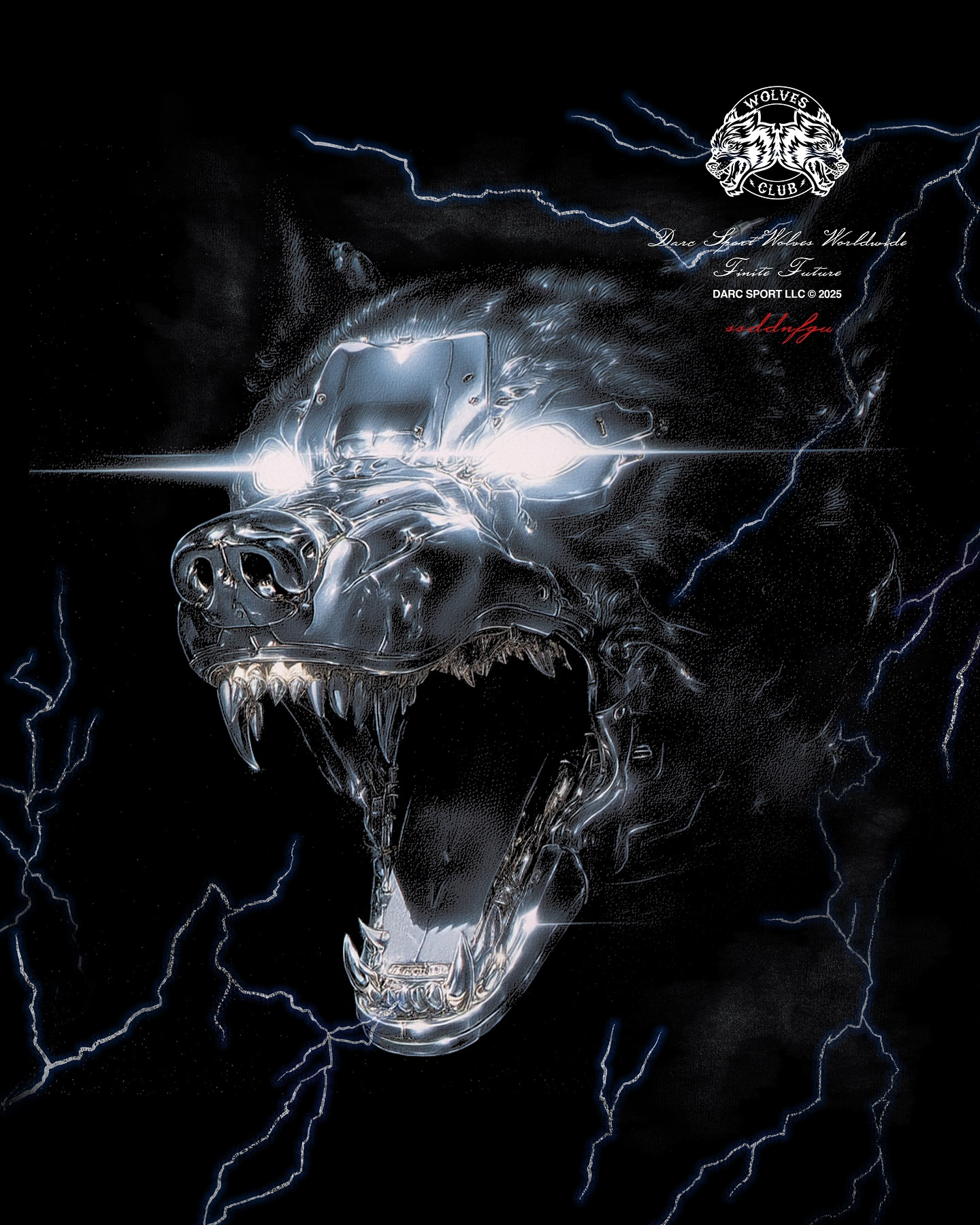 CAMISETA OVERSIZED - EYE OF THE BEAST